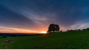Endonezya, Raja Ampat 'ta serin bir esinti ile yüksek tepelerdeki savananın harika manzarası
