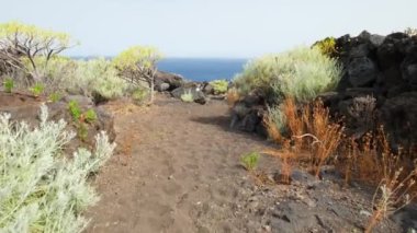 Atlas Okyanusu 'na doğru giden volkanik manzaranın Gimbal çekimi. El Hierro, Kanarya Adaları 'nın kaba doğasında yürüyüş.