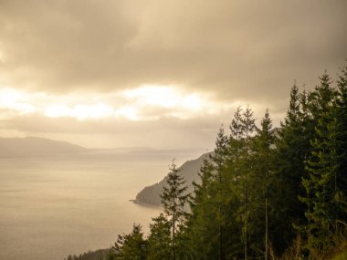 Bellingham, Washington, ABD 'deki Samish Gölü' ne bakan sık bir ormanın manzarası.