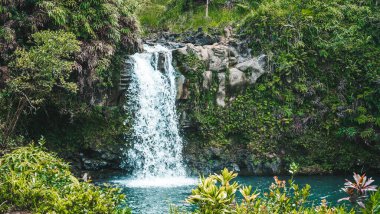 Maui, Hawaii 'de yapraklarla çevrili güzel bir şelale manzarası