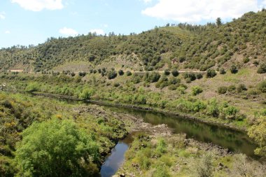 Güneşli bir günde yeşilliklerle çevrili bir nehrin havadan görünüşü.