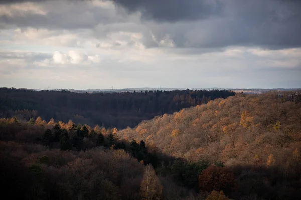 Естественный Вид Деревьев Лесу Осенью Облачным Небом — стоковое фото