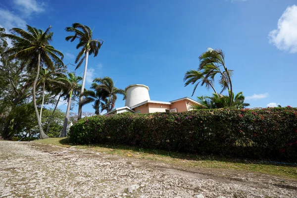 Uma Vista Baixo Ângulo Edifício Branco Floresta — Fotografia de Stock