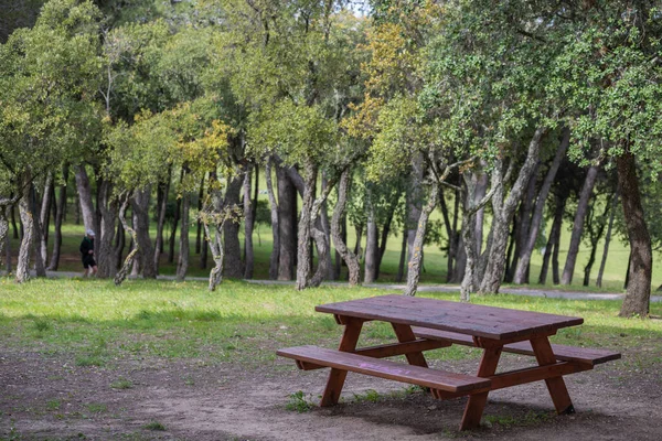 Mesas Picnic Madera Parque Con Árboles Altos — Foto de Stock