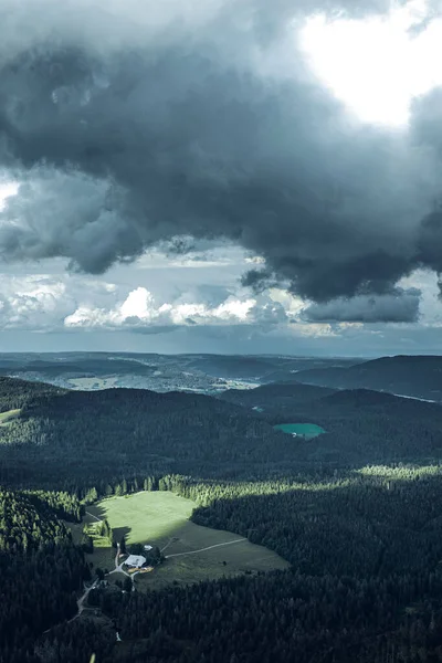 昼間は曇り空の下 黒い森の絶景 — ストック写真
