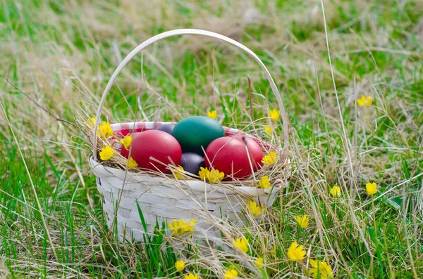 Påskägg Korg Grönt Gräs Solig Dag Påskägg Ängen Våren Lagerbild — Stockfoto