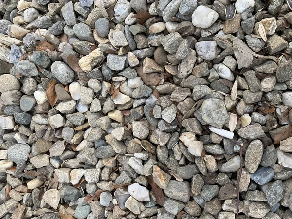 大きさや形が異なる小石の垂直上面図 — ストック写真