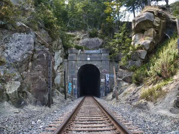 Старая Деревенская Железная Дорога Тёмным Туннелем — стоковое фото