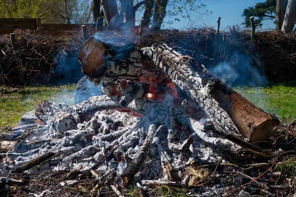 晴れた日に森の中で燃えているたき火のクローズアップショット — ストック写真