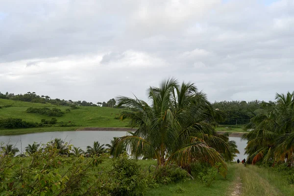 Beau Paysage Autour Étang Avec Des Voyageurs Marchant Vers Elle — Photo