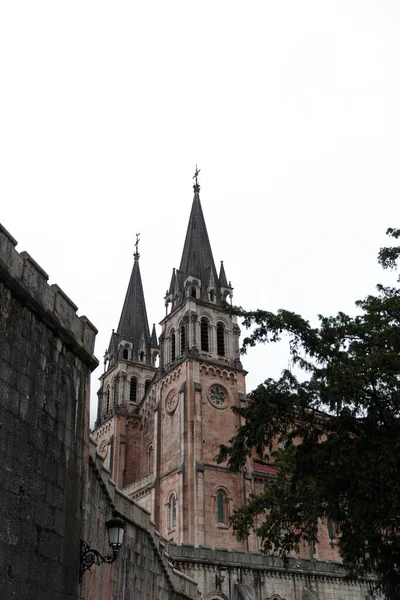 Tiro Vertical Basílica Nuestra Senora Covadonga — Fotografia de Stock