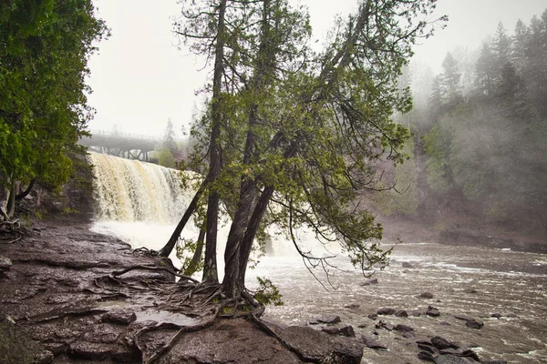 Die Grünen Bäume Ufer Des Flusses Mit Dem Wasserfall Hintergrund — Stockfoto