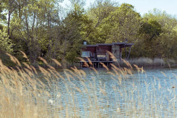 Herbe Jaune Avec Une Cabane Lac Sur Fond — Photo