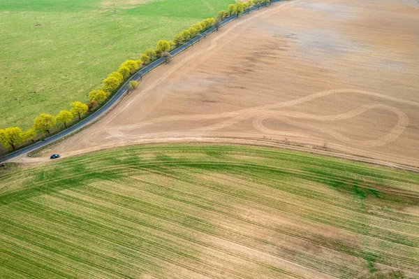 Vista Aérea Camino Entre Campos Con Árboles Largo Primavera —  Fotos de Stock