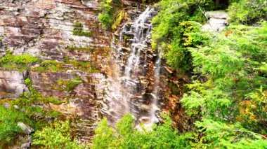 Yeşil ağaçlı kayalık bir dağdan düşen güzel bir şelale manzarası.