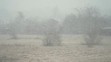 Yapraksız ağaçların ve karlı bir günde karla kaplı evlerin güzel manzarası.