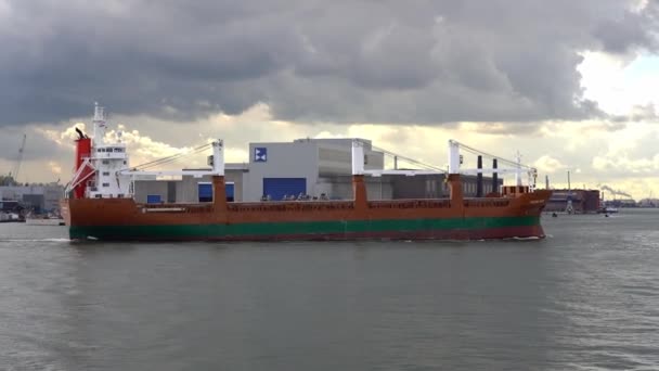 Porte Conteneurs Port Rotterdam — Video