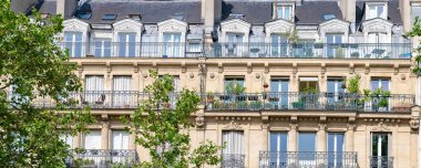 Paris, tipik Beaumarchais Bulvarı, baharda bitkilerle dolu bir balkon.