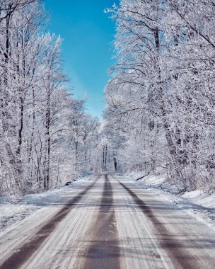 İki tarafı da karla kaplı bir yolun dikey görüntüsü.