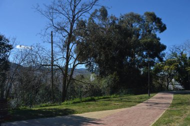 Güneşli bir günde parkın güzel bir manzarası.