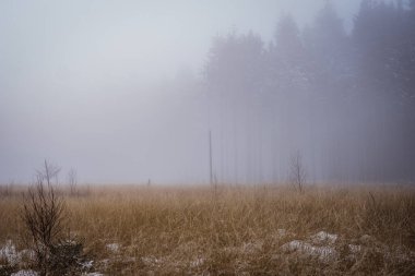 Üzerinde hafif kar ve sis bulunan kuru otlarla kaplı bir arazinin doğal manzarası.