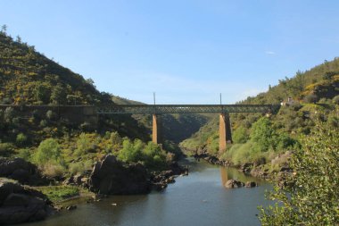 Güneşli bir günde mavi gökyüzünün altında yeşilliklerle çevrili bir nehir üzerinde bir köprü.