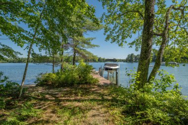 Güneşli bir günde ağaçlı bir bahçeden güzel bir göl manzarası.