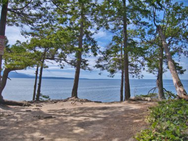 Ağaç manzarası ve Alaska, ABD 'deki Clark' s Point sahili.