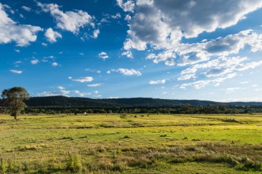 Kuzey New Mexico 'da yeşil tarlalar ve çiftlik arazisi.