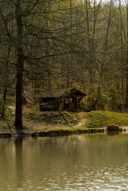 Ormandaki bir göldeki tahta bir barınağın dikey görüntüsü.