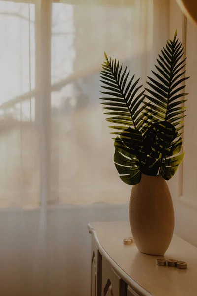 Sebuah Gambar Vertikal Dari Tanaman Tropis Dalam Vas Rumah — Stok Foto