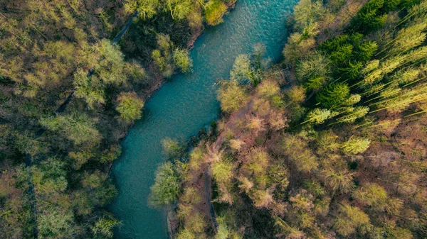 Vzdušný Výhled Řeku Obklopenou Krásným Lesem Slunečného Dne — Stock fotografie