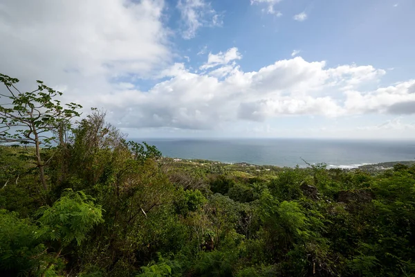 Güneşli bir günde, ormanın yakınındaki güzel bir gölün havadan görünüşü.