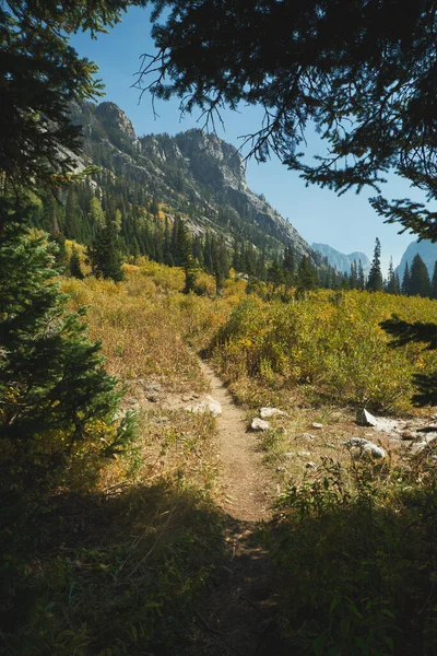 Uma Foto Vertical Uma Trilha Caminhada Nas Montanhas Grand Teton — Fotografia de Stock