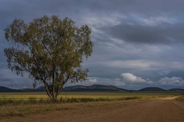 Natural Landscape View Road Country Trees Fields Sunset Blue Sky — Stock Photo, Image