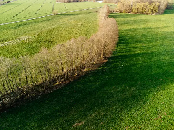 有树木和绿地的乡间风景的无人驾驶飞机照片 — 图库照片