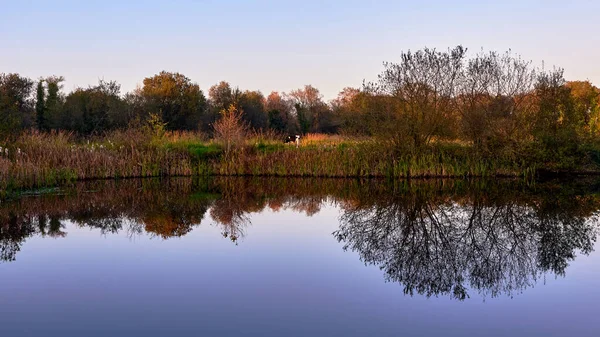 Una Vista Hermoso Lago Que Refleja Los Árboles Arbustos Orilla — Foto de Stock