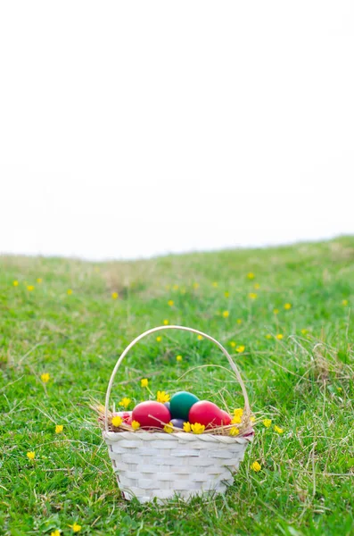 Påskägg Korg Grönt Gräs Solig Dag Påskägg Ängen Våren Lagerbild — Stockfoto