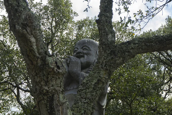 A stone laughing Buddha statue behind a tree in the park