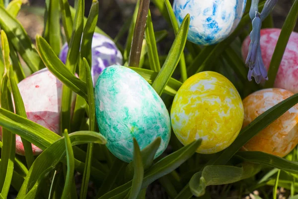 Primer Plano Coloridos Huevos Pascua Hierba Campo —  Fotos de Stock