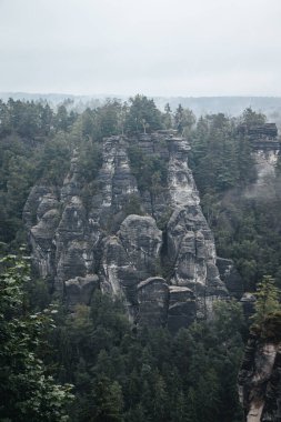 Sakson İsviçre Milli Parkı 'nda, yerden fışkıran inanılmaz kaya oluşumlarıyla dolu sisli bir günde çekilmiş bir fotoğraf.