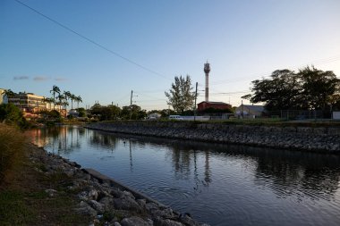 Küçük bir nehir ve palmiye ağacının güzel bir görüntüsü, açık mavi gökyüzünün altında suyla yansıyan yeşil ağaçlar.