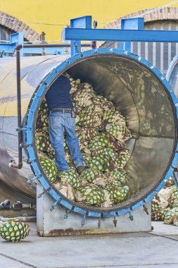 Adam fırında karides yığıyor. Buharda pişirmeye hazır.