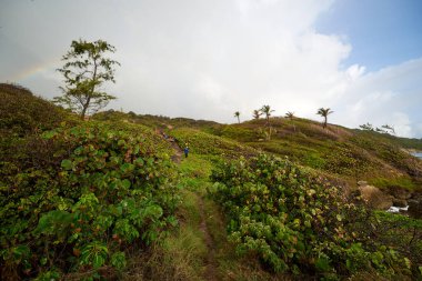 Üzerinde bulutlu gökyüzü olan yeşil bir arazinin manzarası.