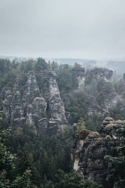 Sakson İsviçre Milli Parkı 'nda, yerden fışkıran inanılmaz kaya oluşumlarıyla dolu sisli bir günde çekilmiş bir fotoğraf.