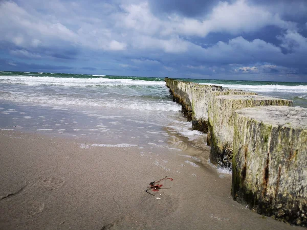 Eine Nahaufnahme Von Holzstämmen Ozean — Stockfoto