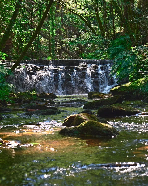 Природный Водопад Воды Скалы Пейзаж Реки Приток Дикой Природы Рибейра — стоковое фото
