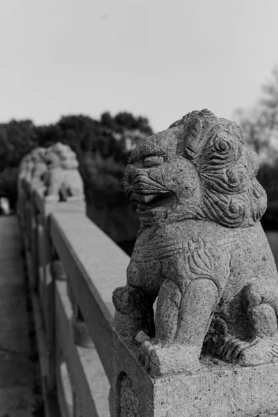 Starověký Živý Kámen Lev Mostě Pekingu Čína Černé Bílé — Stock fotografie