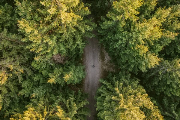 Uma Vista Aérea Uma Pessoa Caminhando Longo Caminho Através Árvores — Fotografia de Stock