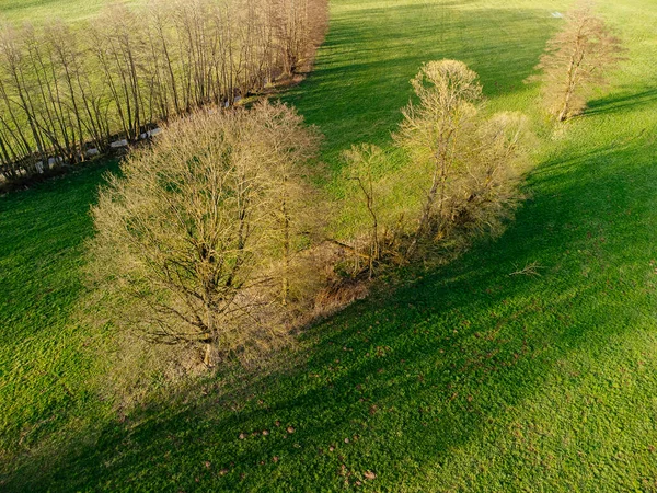 木や緑の土地を持つ国の風景の空中ドローンショット — ストック写真